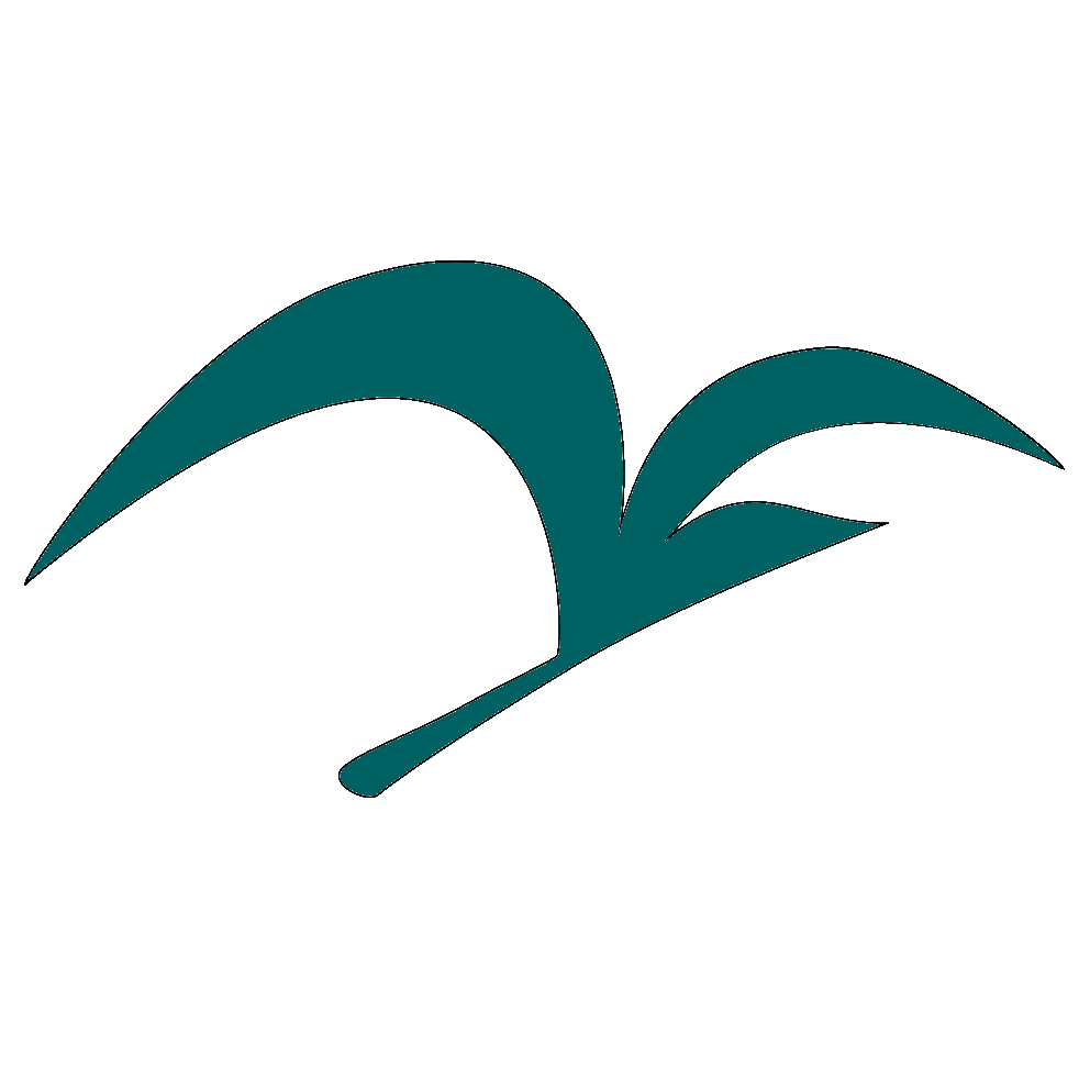 LogoOrus64